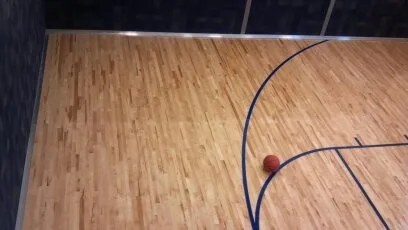 Dark-stained hardwood sport floor with navy painted court lines, white dashed free throw markers, and a team logo visible at edge