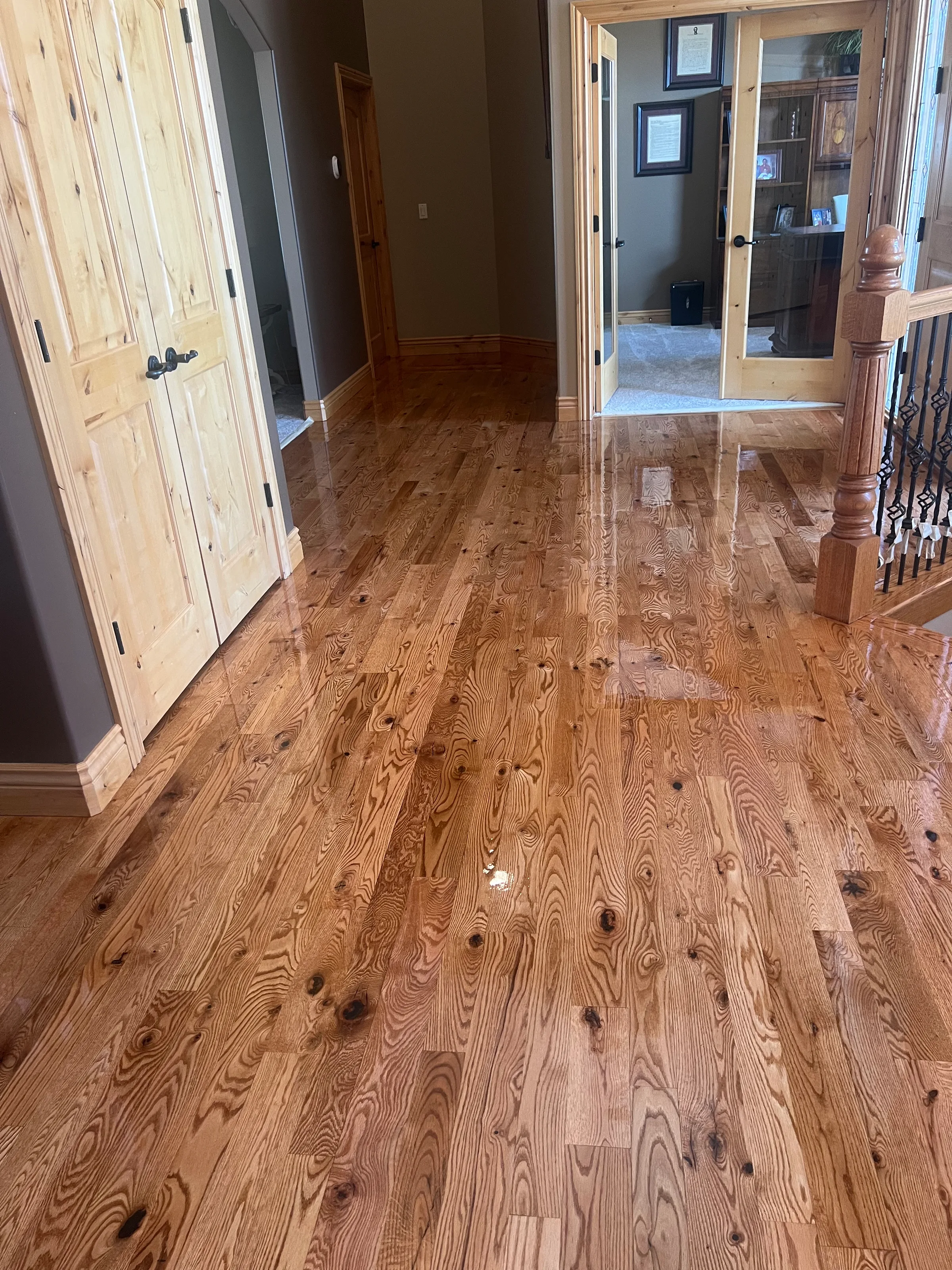 Red oak floor with warm tones and newly refined finish, showing grain patterns clearly